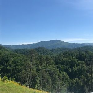 Meet your Posher, Camille